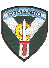 Compania de Comandos 601